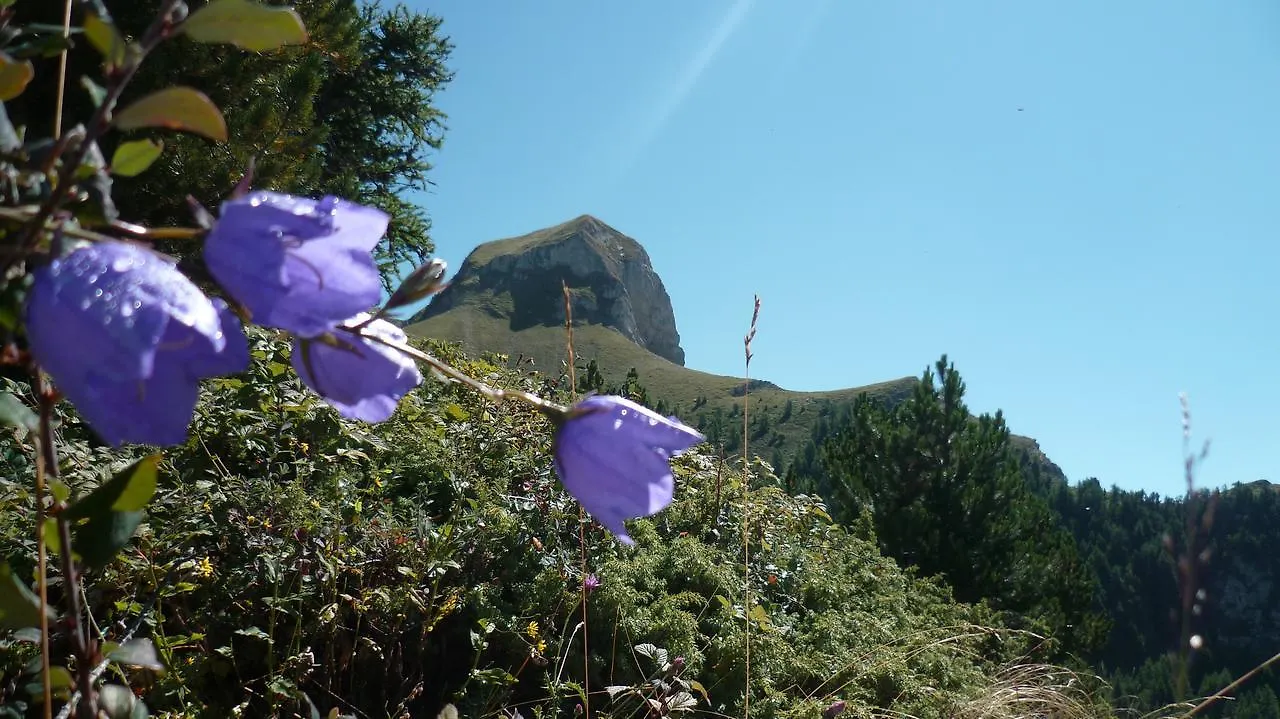 Aparthotel Residence Les Ecrins Ancelle
